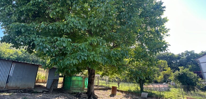 CASA SINGOLA CON GIARDINO E TERRENO Rif 179 Ort