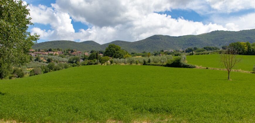 BELLISSIMA PROPRIETA’ CON 8 ETTARI DI TERRENO – Rif. 5mon