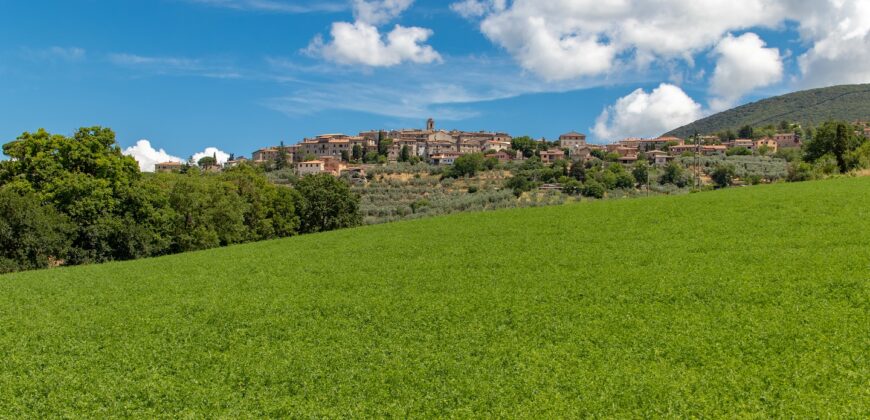 BELLISSIMA PROPRIETA’ CON 8 ETTARI DI TERRENO – Rif. 5mon