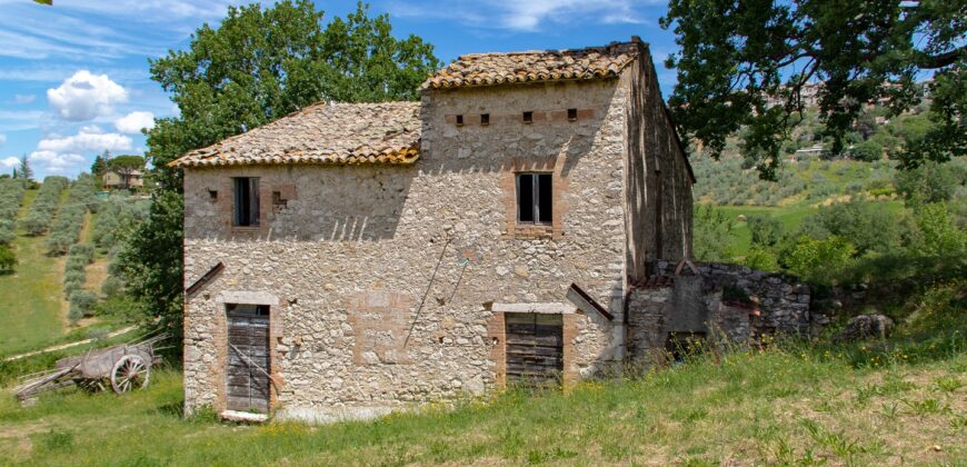 BELLISSIMA PROPRIETA’ CON 8 ETTARI DI TERRENO – Rif. 5mon