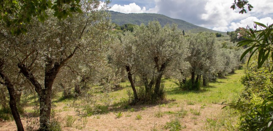 BELLISSIMA PROPRIETA’ CON 8 ETTARI DI TERRENO – Rif. 5mon