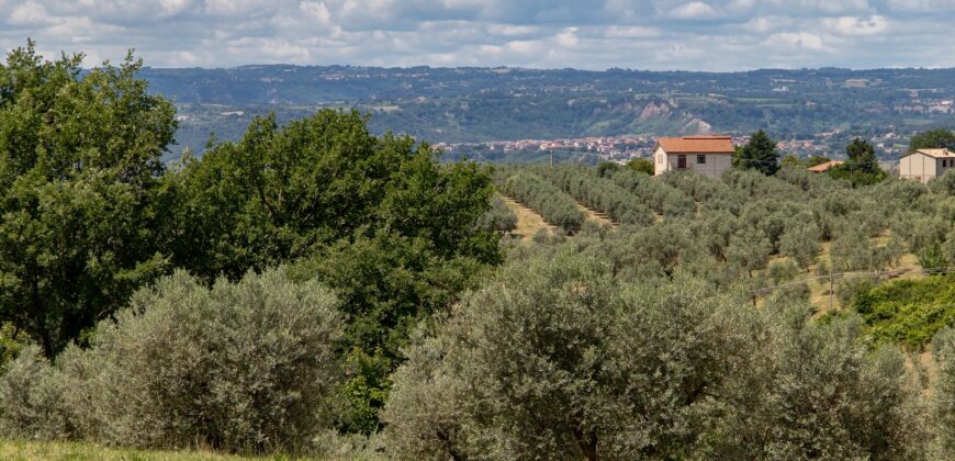 BELLISSIMA PROPRIETA’ CON 8 ETTARI DI TERRENO – Rif. 5mon