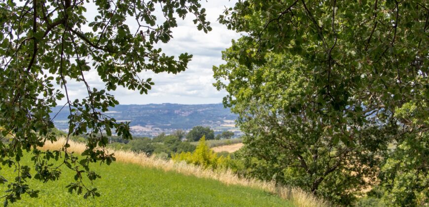 BELLISSIMA PROPRIETA’ CON 8 ETTARI DI TERRENO – Rif. 5mon