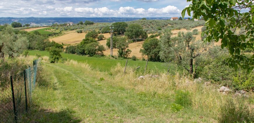 BELLISSIMA PROPRIETA’ CON 8 ETTARI DI TERRENO – Rif. 5mon