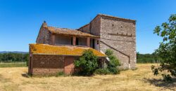 ANTICO PODERE IN PIETRA CON TERRENO DI 2,7 ETTARI