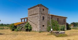 ANTICO PODERE IN PIETRA CON TERRENO DI 2,7 ETTARI