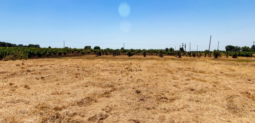 ANTICO PODERE IN PIETRA CON TERRENO DI 2,7 ETTARI