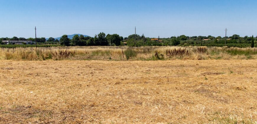 ANTICO PODERE IN PIETRA CON TERRENO DI 2,7 ETTARI