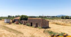 ANTICO PODERE IN PIETRA CON TERRENO DI 2,7 ETTARI