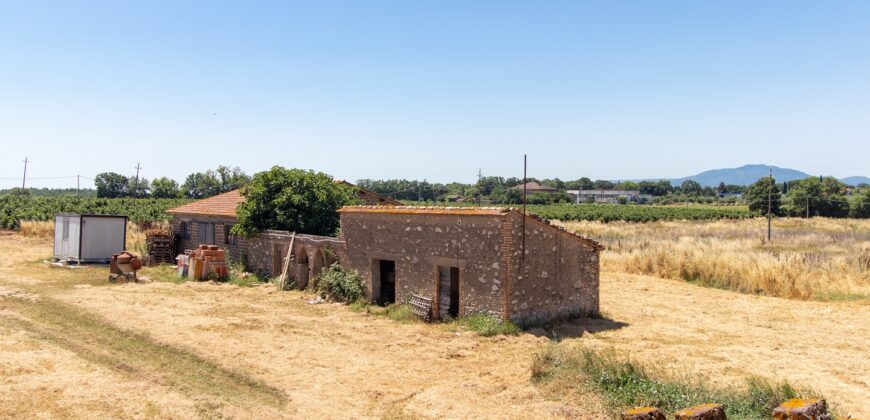 ANTICO PODERE IN PIETRA CON TERRENO DI 2,7 ETTARI