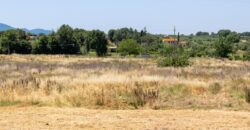 ANTICO PODERE IN PIETRA CON TERRENO DI 2,7 ETTARI