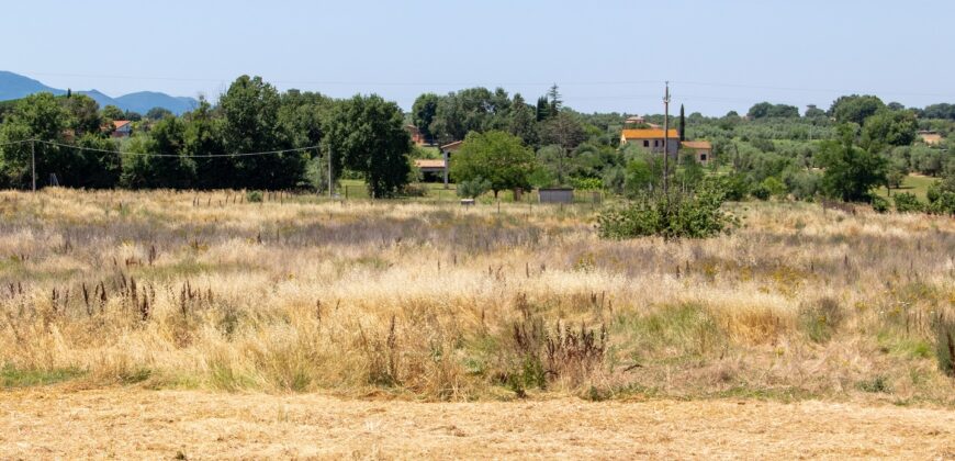 ANTICO PODERE IN PIETRA CON TERRENO DI 2,7 ETTARI