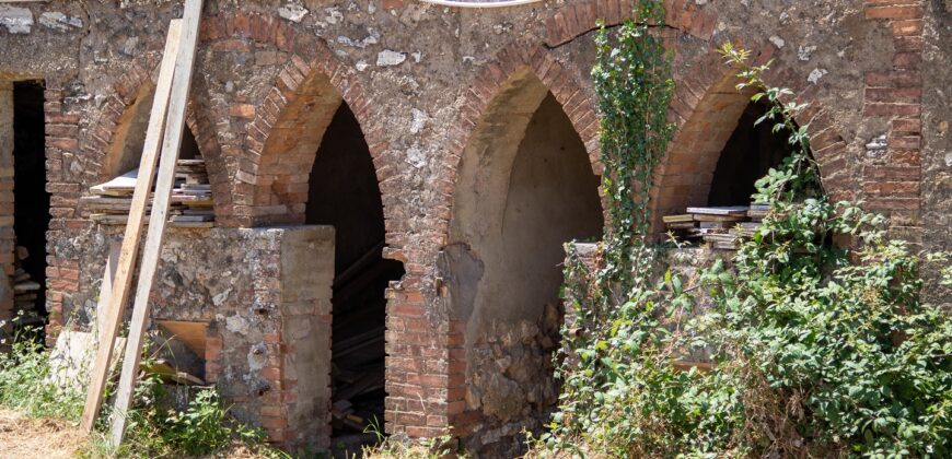 ANTICO PODERE IN PIETRA CON TERRENO DI 2,7 ETTARI