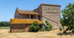 ANTICO PODERE IN PIETRA CON TERRENO DI 2,7 ETTARI