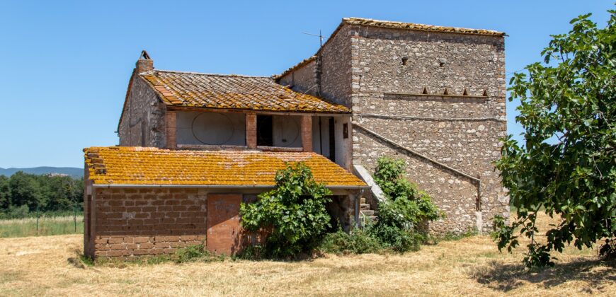 ANTICO PODERE IN PIETRA CON TERRENO DI 2,7 ETTARI