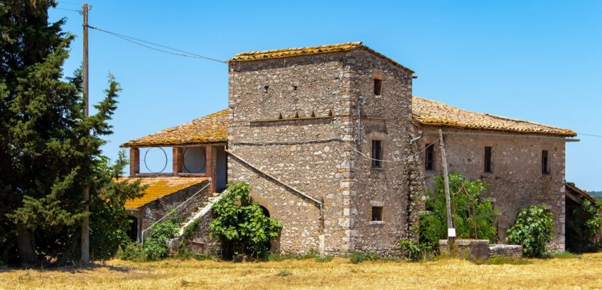 ANTICO PODERE IN PIETRA CON TERRENO DI 2,7 ETTARI