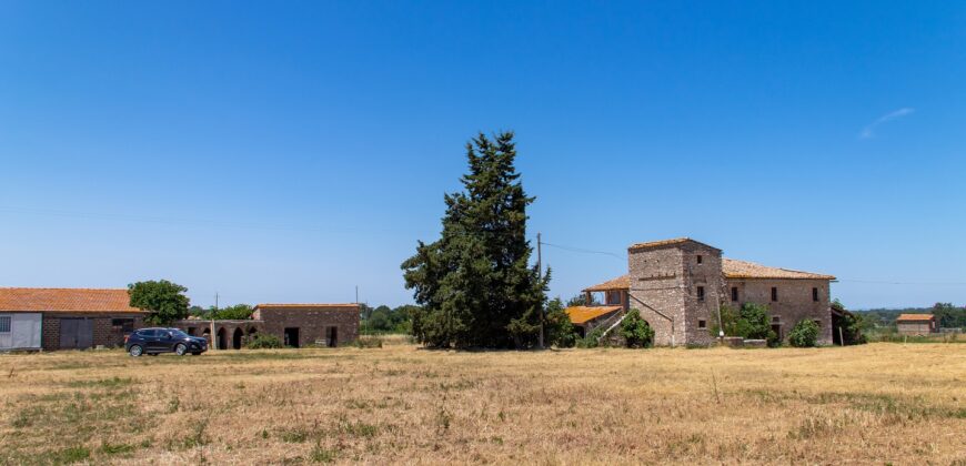 ANTICO PODERE IN PIETRA CON TERRENO DI 2,7 ETTARI