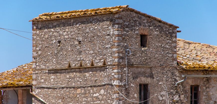 ANTICO PODERE IN PIETRA CON TERRENO DI 2,7 ETTARI