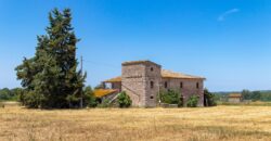 ANTICO PODERE IN PIETRA CON TERRENO DI 2,7 ETTARI