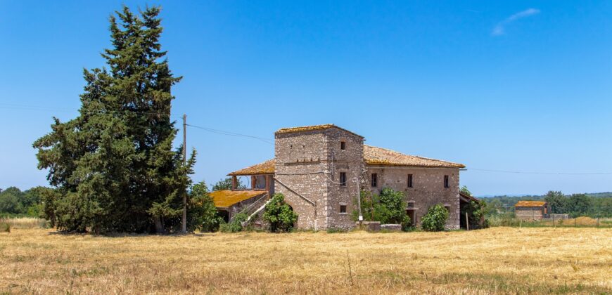 ANTICO PODERE IN PIETRA CON TERRENO DI 2,7 ETTARI