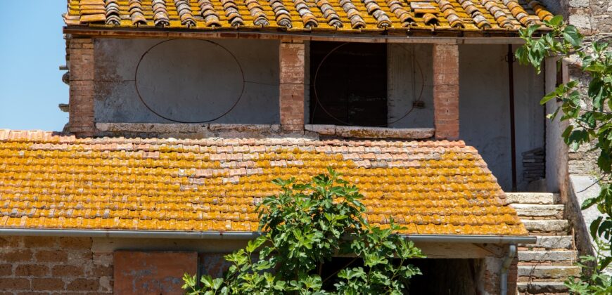 ANTICO PODERE IN PIETRA CON TERRENO DI 2,7 ETTARI