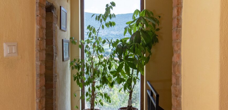 CARATTERISTICA PORZIONE DI CASA CON GIARDINO