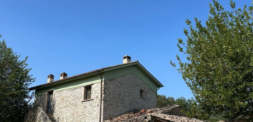 CASALE IN PIETRA CON TERRENO Rif 172 Ort