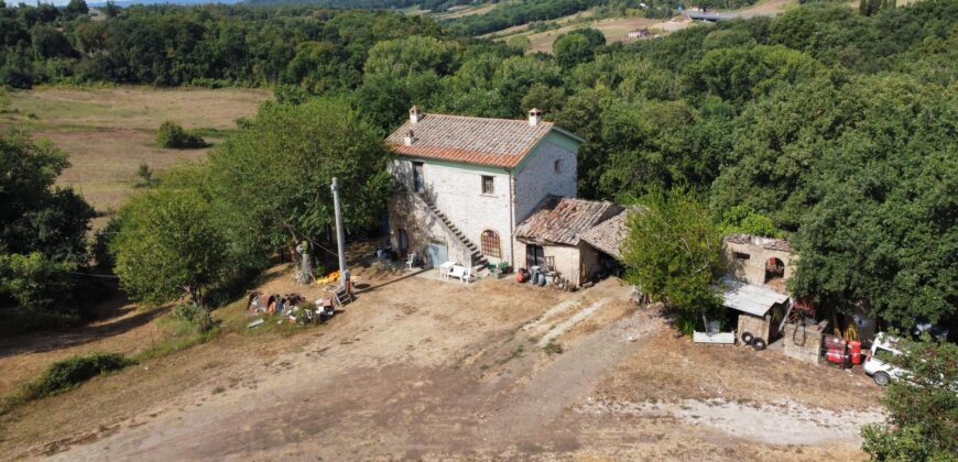 CASALE IN PIETRA CON TERRENO Rif 172 Ort