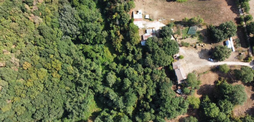 CASALE IN PIETRA CON TERRENO Rif 172 Ort