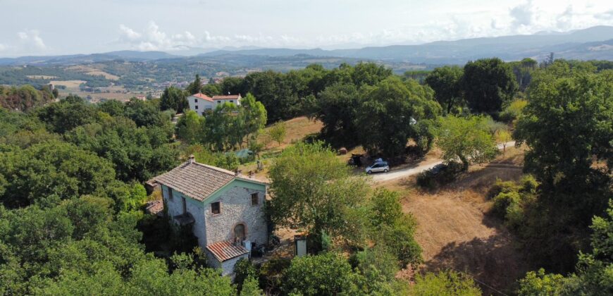 CASALE IN PIETRA CON TERRENO Rif 172 Ort