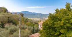 CASA SINGOLA DI AMPIA METRATURA DISPOSTA SU DUE LIVELLI CON GIARDINO Rif. 7gio