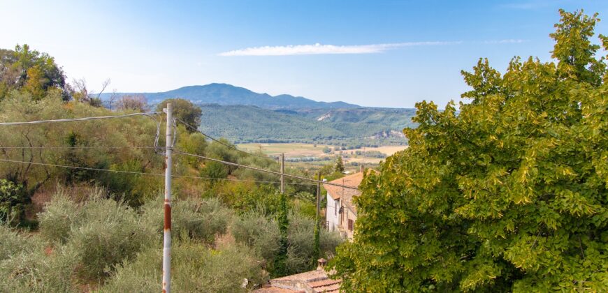 CASA SINGOLA DI AMPIA METRATURA DISPOSTA SU DUE LIVELLI CON GIARDINO Rif. 7gio