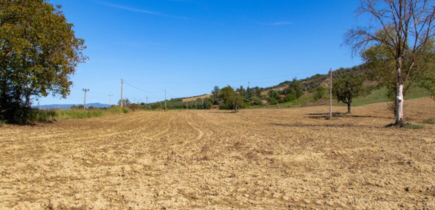 CASALE DA RISTRUTTURARE CON TERRENO Rif.13alv