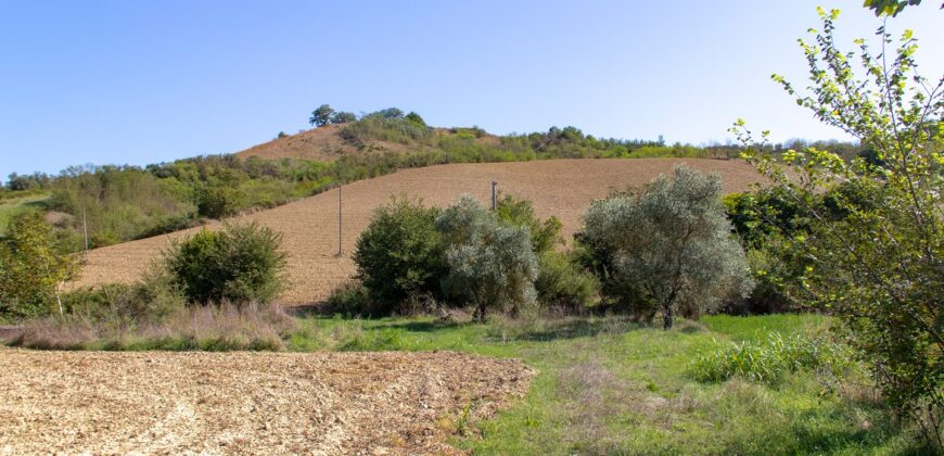 CASALE DA RISTRUTTURARE CON TERRENO Rif.13alv