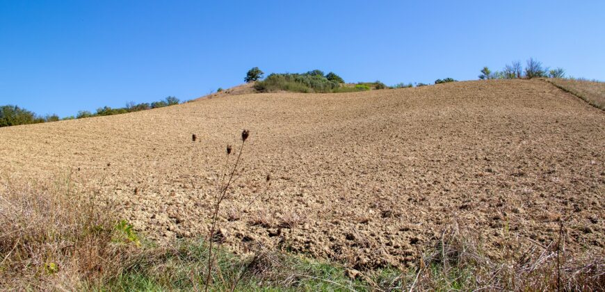 CASALE DA RISTRUTTURARE CON TERRENO Rif.13alv