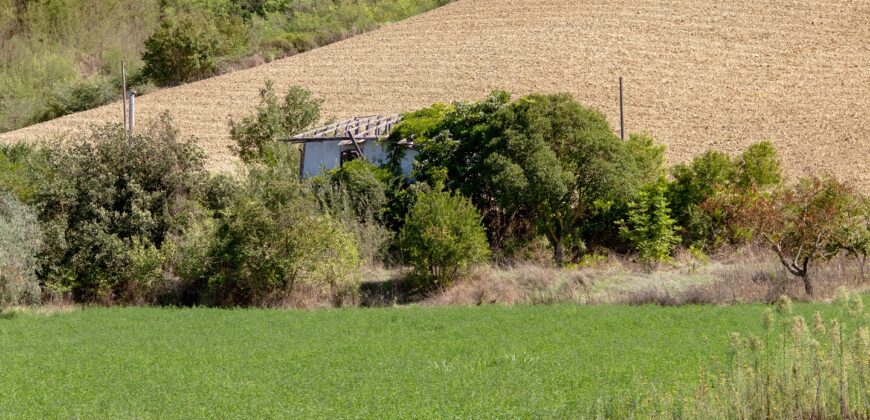 CASALE DA RISTRUTTURARE CON TERRENO Rif.13alv