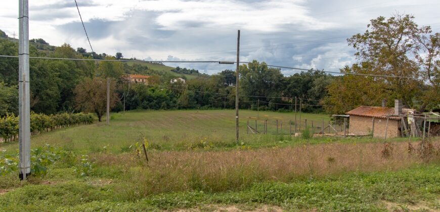 Porzione di casa ad Alviano Rif. 7alv