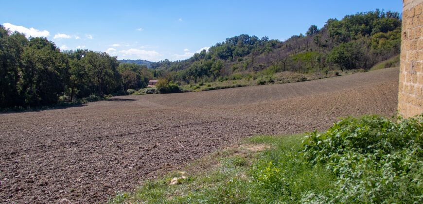 ANTICO CASALE CON 2,5 ETTARI DI TERRENO – Rif. 4gua