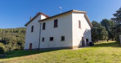 PANORAMICISSIMA CASA SINGOLA CON TERRENO DI 5 ETTARI – Rif. 8lug