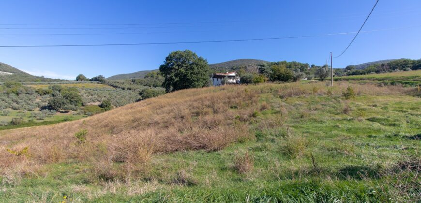 PANORAMICISSIMA CASA SINGOLA CON TERRENO DI 5 ETTARI – Rif. 8lug