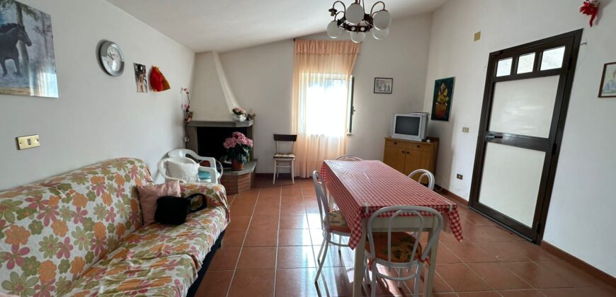 GRAZIOSA CASA SINGOLA CON SPAZIO ESTERNO rif 187 Ort