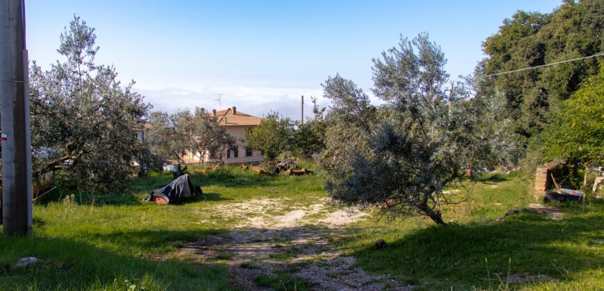 TERRENO EDIFICABILE a LUGNANO IN TEVERINA Rif. 9lug