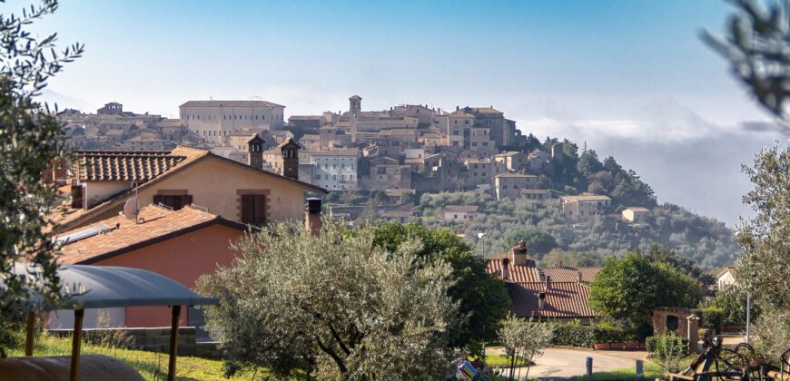 TERRENO EDIFICABILE a LUGNANO IN TEVERINA Rif. 9lug