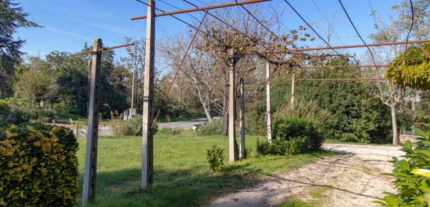 CASA SINGOLA DI AMPIA METRATURA CON TERRENO – Rif. 1alv