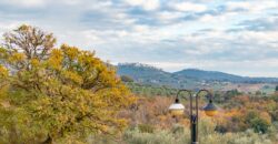 PANORAMICO VILLINO CON TERRAZZA, GIARDINO E GARAGE – Rif. 3alv