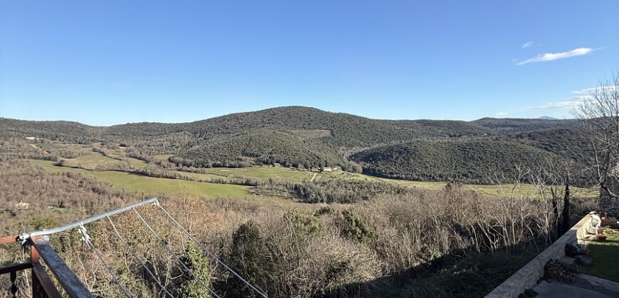 Cielo/Terra di ampia metratura -Rif.511