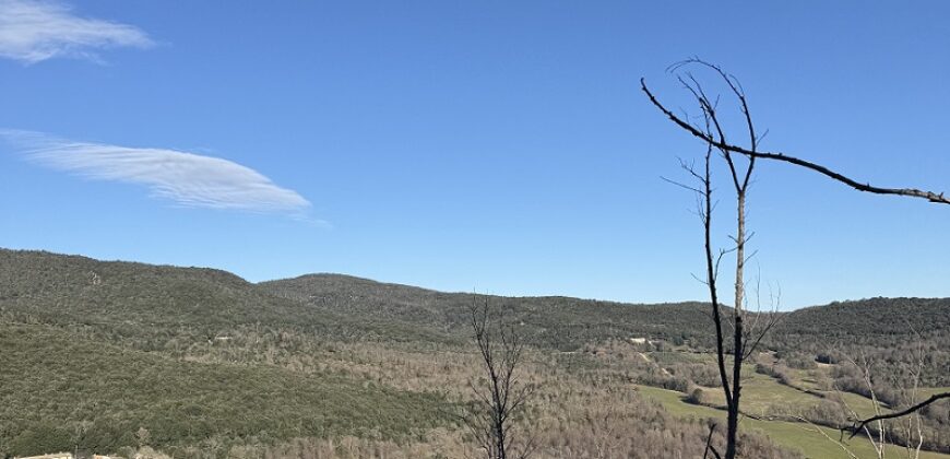 Cielo/Terra di ampia metratura -Rif.511