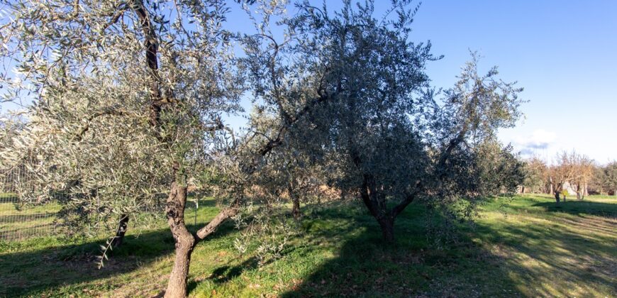 CASA SINGOLA CON TERRENO PIANEGGIANTE. – RIF. 17GIO