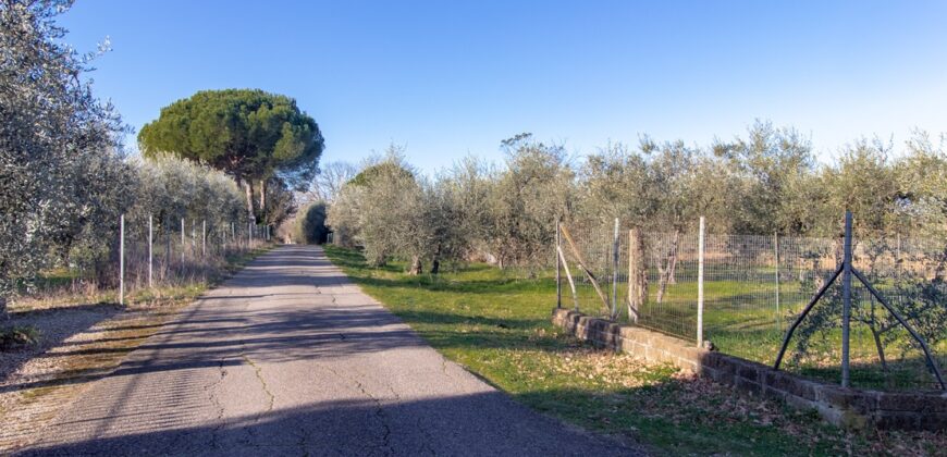 CASA SINGOLA CON TERRENO PIANEGGIANTE. – RIF. 17GIO