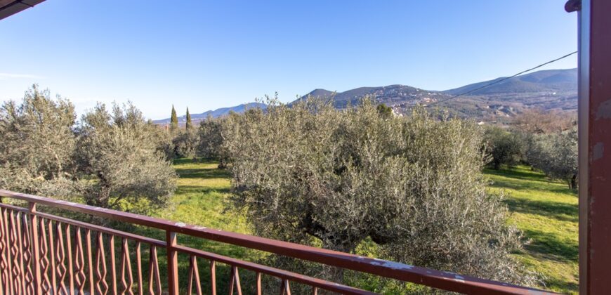 PANORAMICISSIMA CASA SINGOLA CON TERRENO